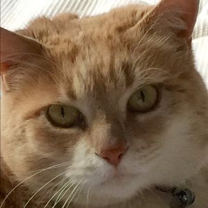 Meet your Posher, Donna